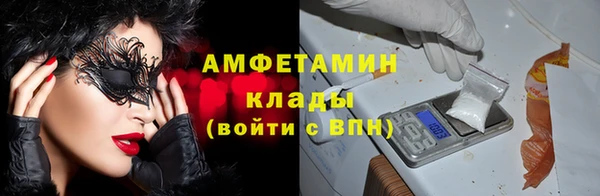 твердый Арсеньев